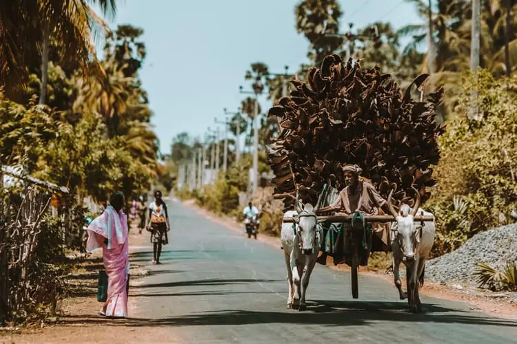 Sri Lanka in 3 Weeks