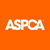 How to Choose Pet Insurance: Selecting a Plan for Your Pet 14 ASPCA