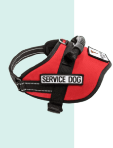 service dog vest