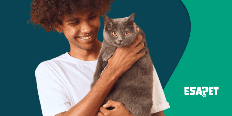 Do Cats Help with Anxiety