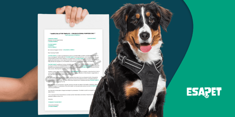 Do ESA Letters Expire_ Renewal Process Explained