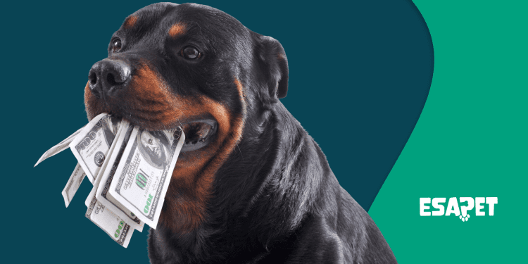 ESA Letter Cost How Much You’ll Pay in 2025