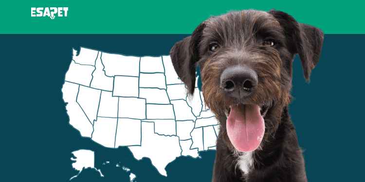 Emotional Support Animal Laws by State