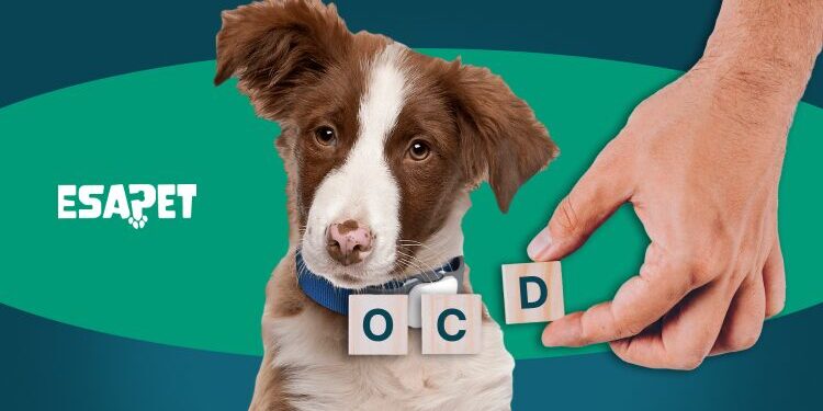 OCD Service Dog