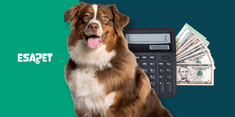 Pet Fees vs. Pet Rent vs. Pet Deposits