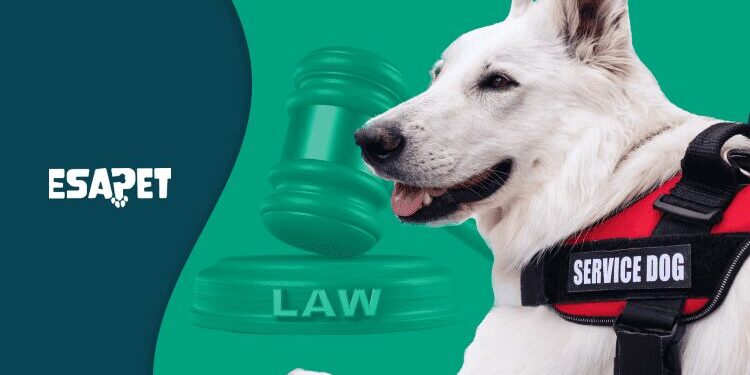 penalty for refusing service dog