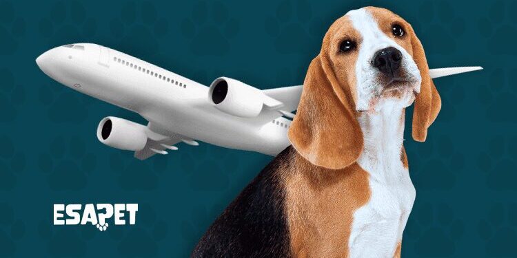 which airlines allow emotional support animals
